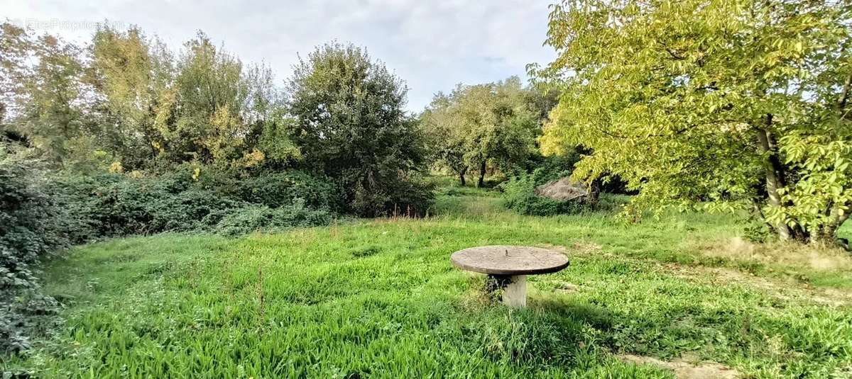 Terrain à SAINT-NIZIER-LE-BOUCHOUX