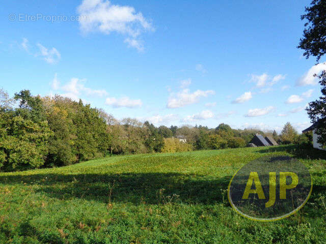 Terrain à PLUMELEC