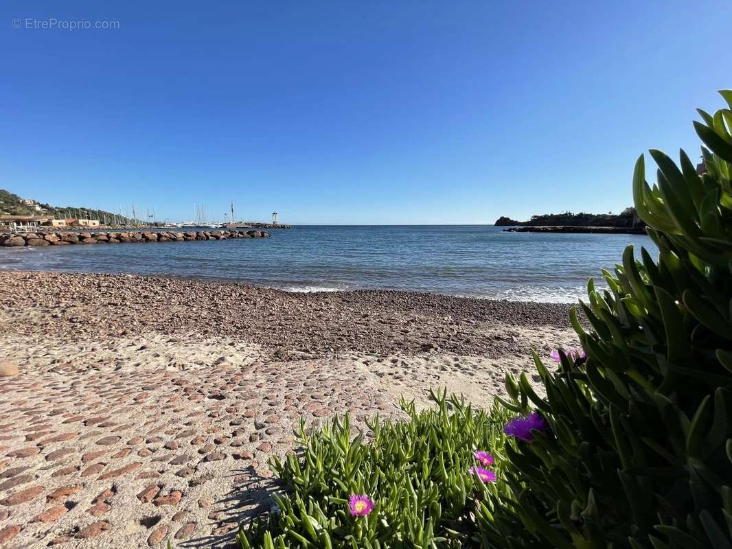 Appartement à THEOULE-SUR-MER