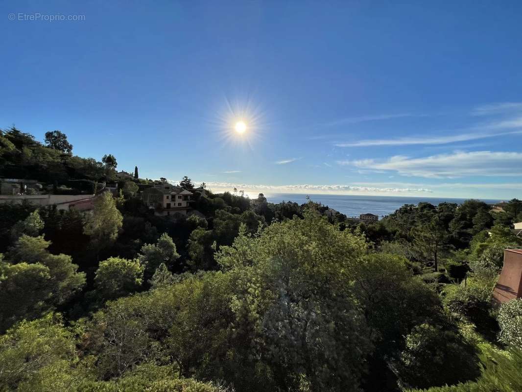 Appartement à THEOULE-SUR-MER