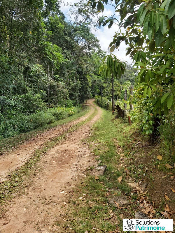 Terrain à ROURA