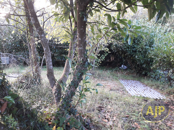 Terrain à CASTELNAU-DE-MEDOC