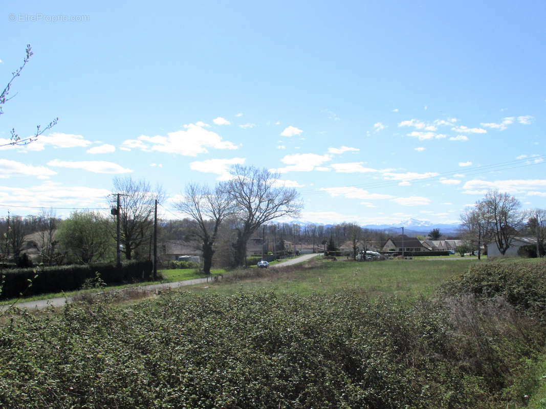 Terrain à NAVARRENX