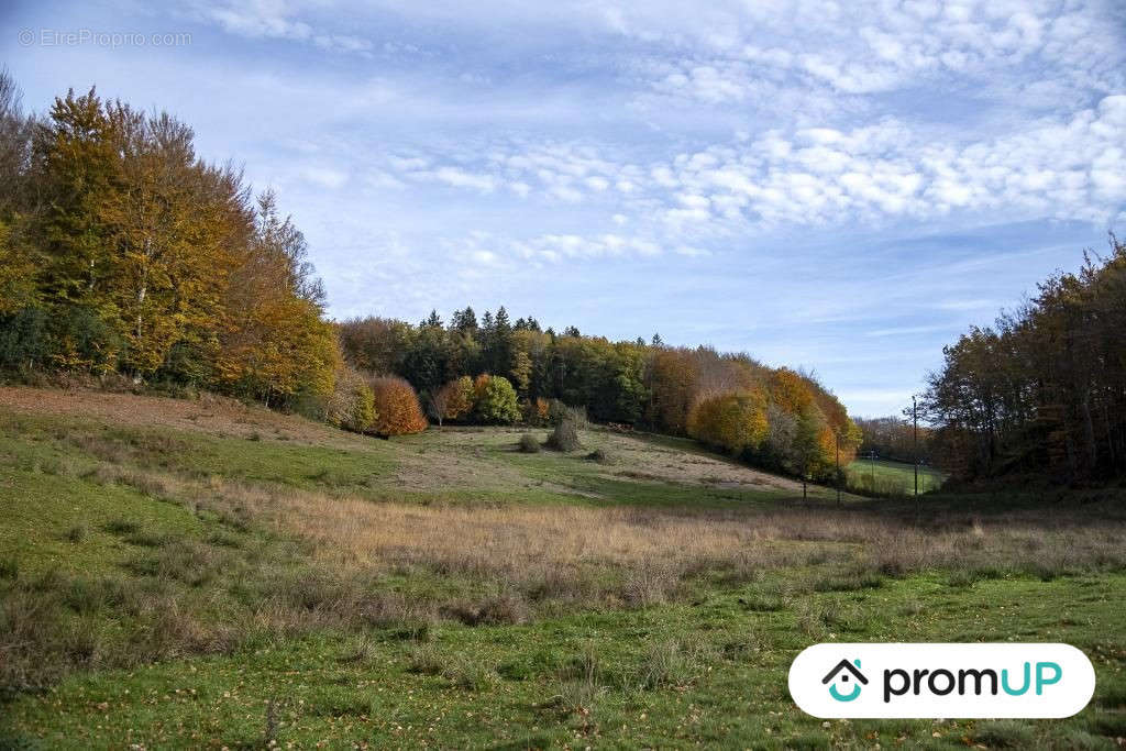 Terrain à ROUAIROUX