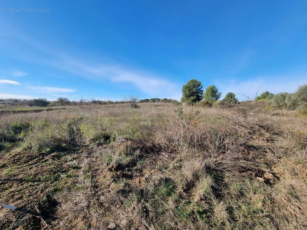 Terrain à CAZOULS-LES-BEZIERS