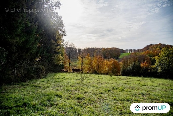 Terrain à ROUAIROUX