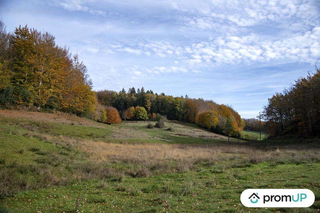 Terrain à ROUAIROUX