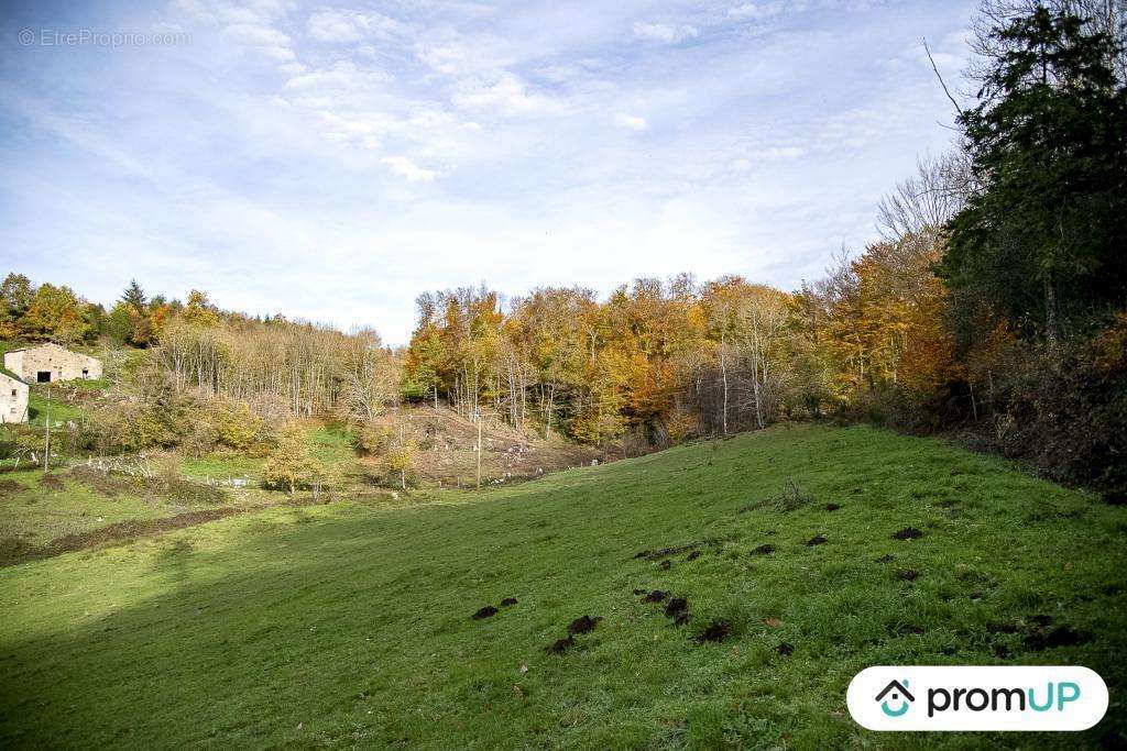 Terrain à ROUAIROUX