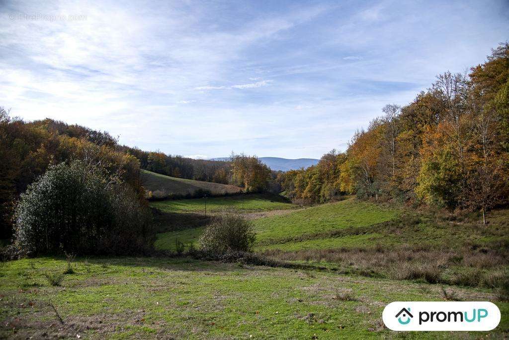 Terrain à ROUAIROUX