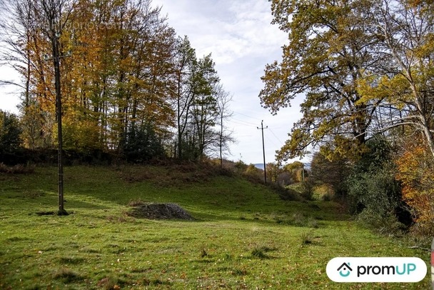 Terrain à ROUAIROUX