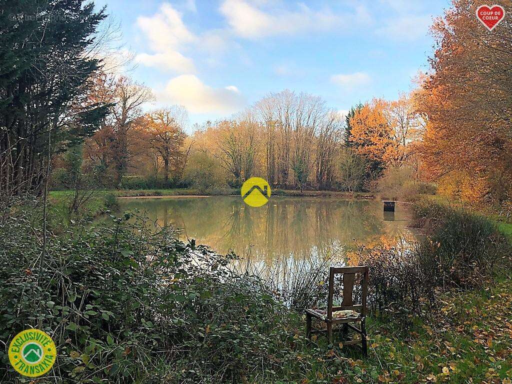 Terrain à BELLEVILLE-SUR-LOIRE