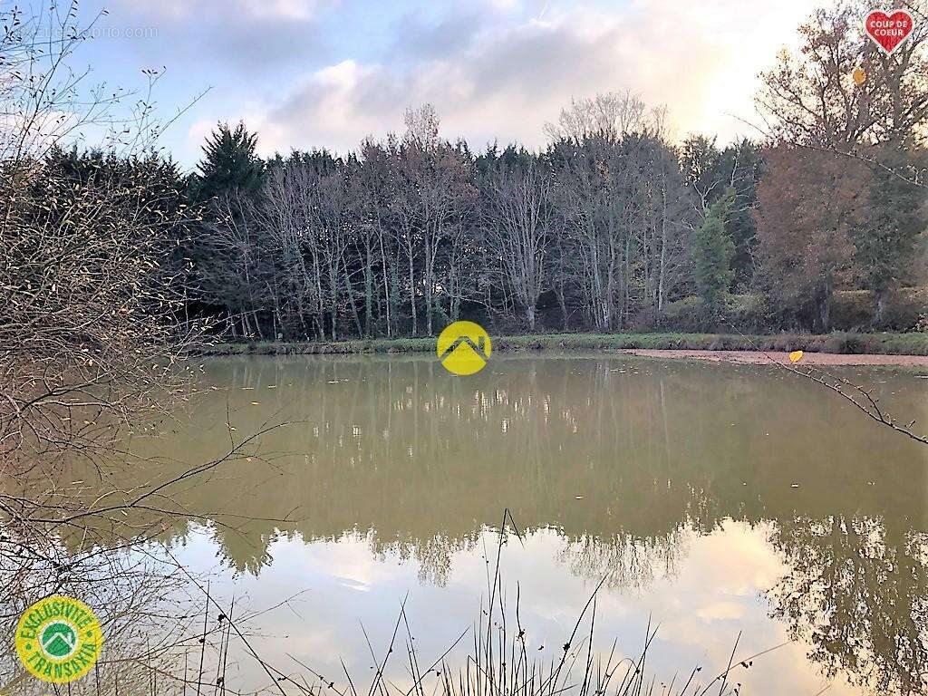 Terrain à BELLEVILLE-SUR-LOIRE