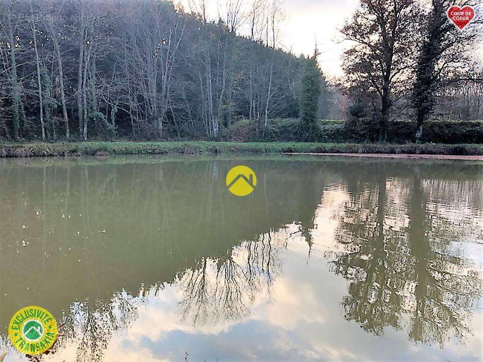 Terrain à BELLEVILLE-SUR-LOIRE