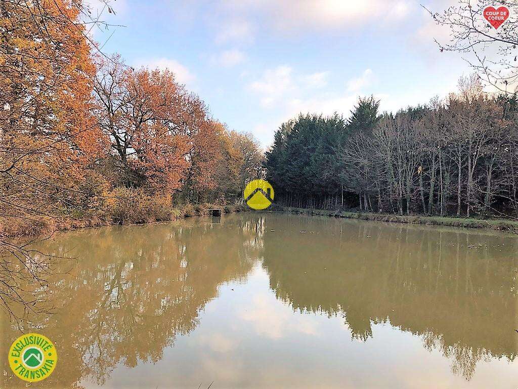 Terrain à BELLEVILLE-SUR-LOIRE