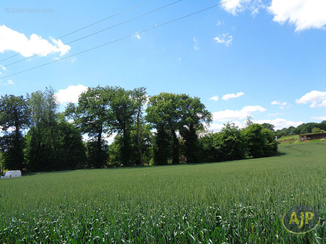 Terrain à SERENT