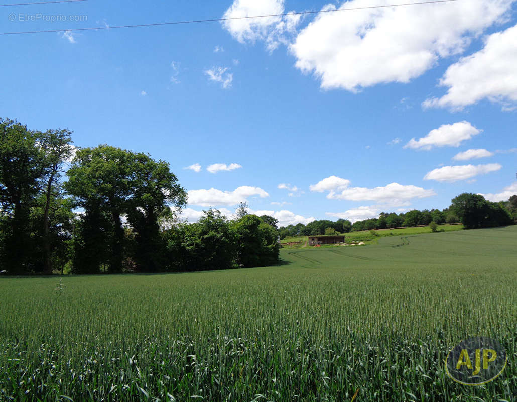 Terrain à SERENT