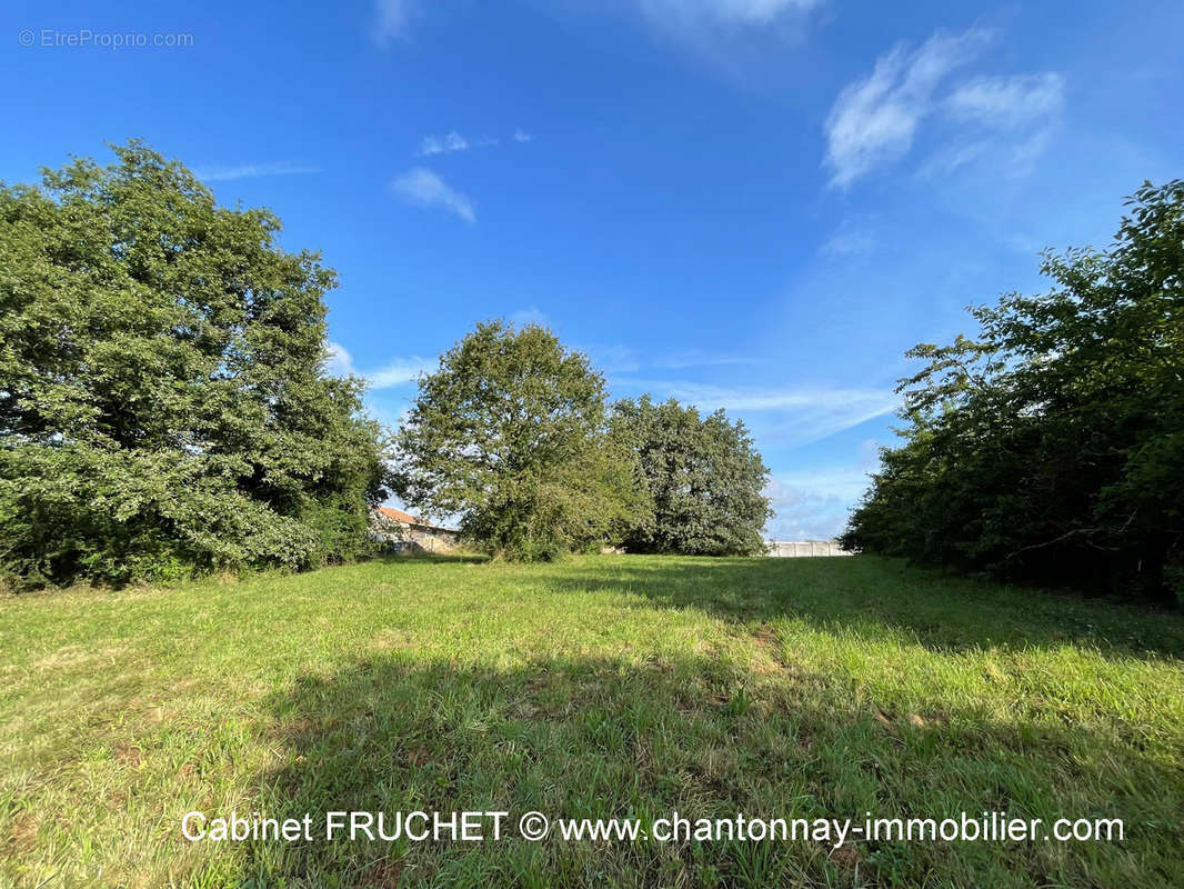 Terrain à CHANTONNAY