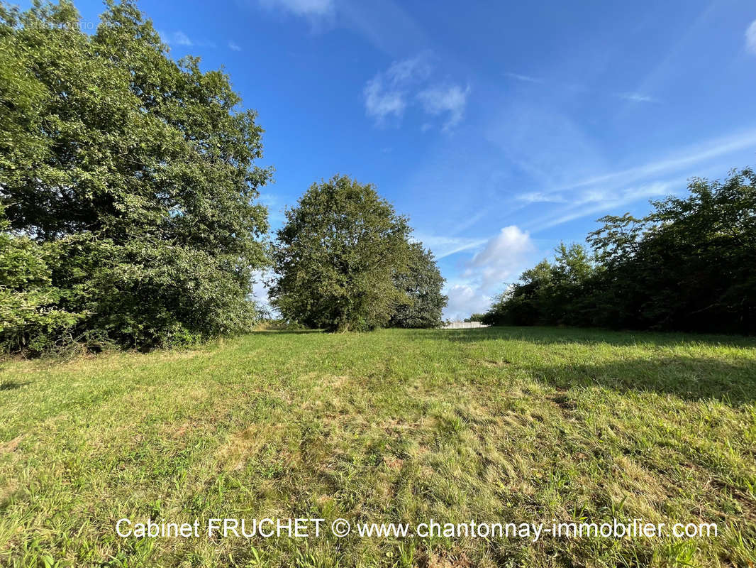 Terrain à CHANTONNAY