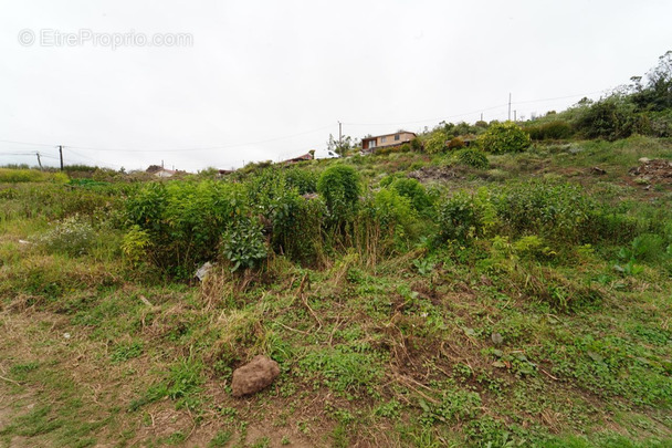 Terrain à LE TAMPON