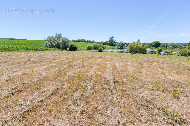 Terrain à AIRE-SUR-L&#039;ADOUR