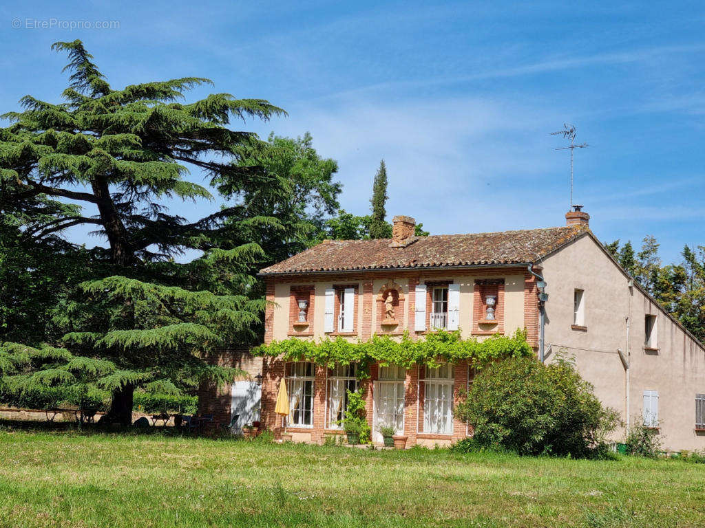 orangerie - Maison à CINTEGABELLE