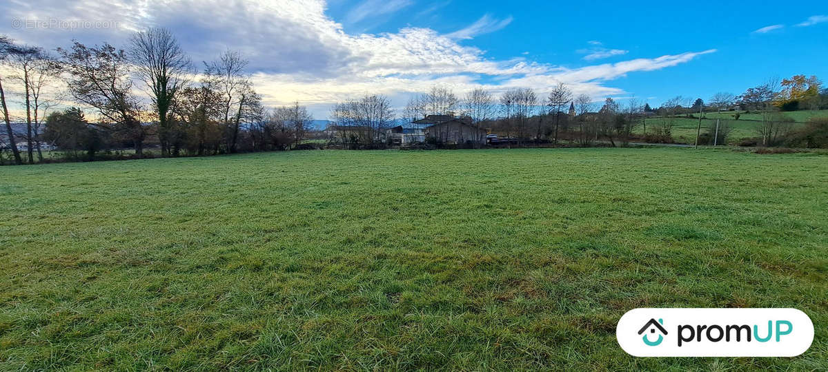 Terrain à SOUYEAUX