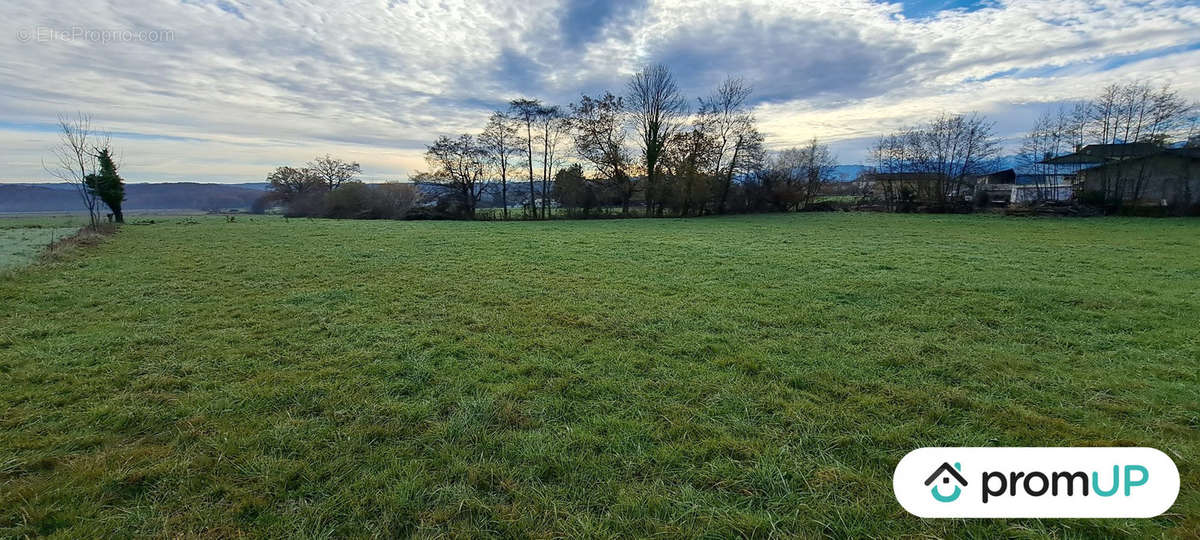 Terrain à SOUYEAUX