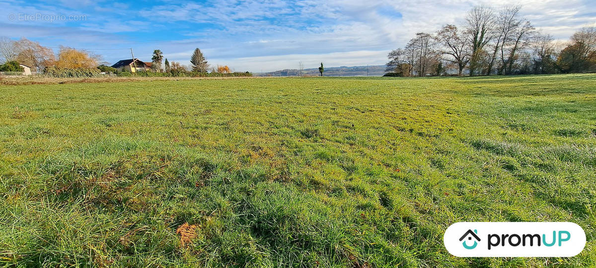 Terrain à SOUYEAUX