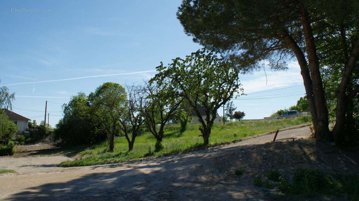 Terrain à BRIVE-LA-GAILLARDE