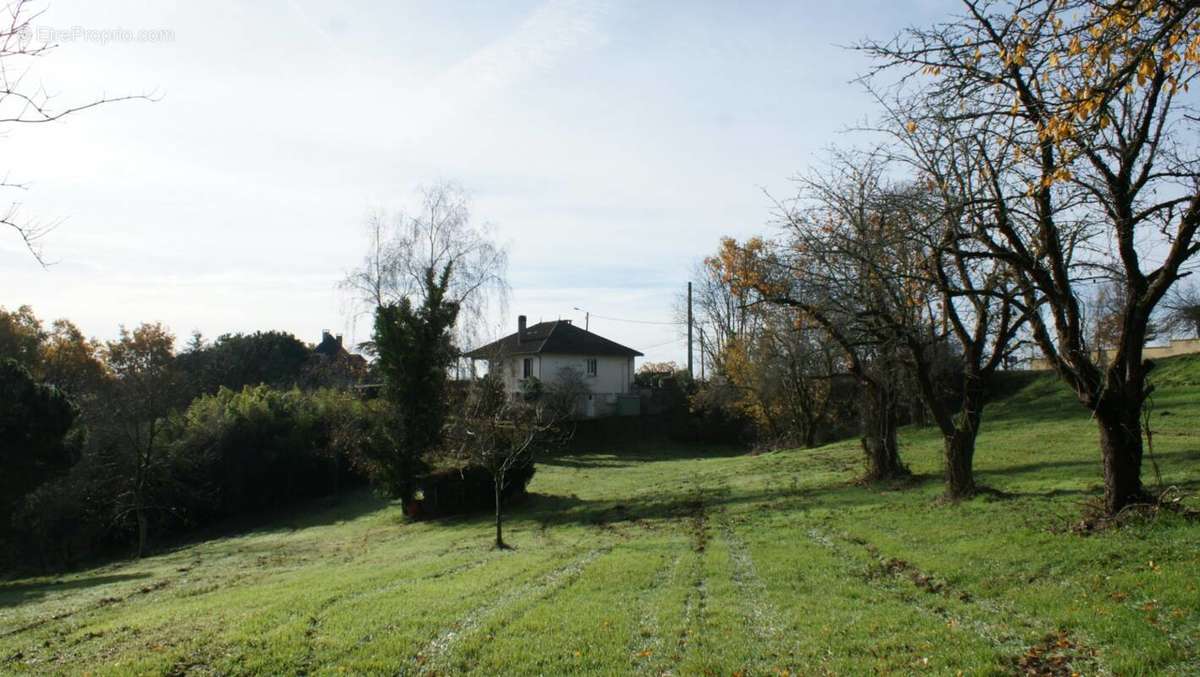 Terrain à BRIVE-LA-GAILLARDE