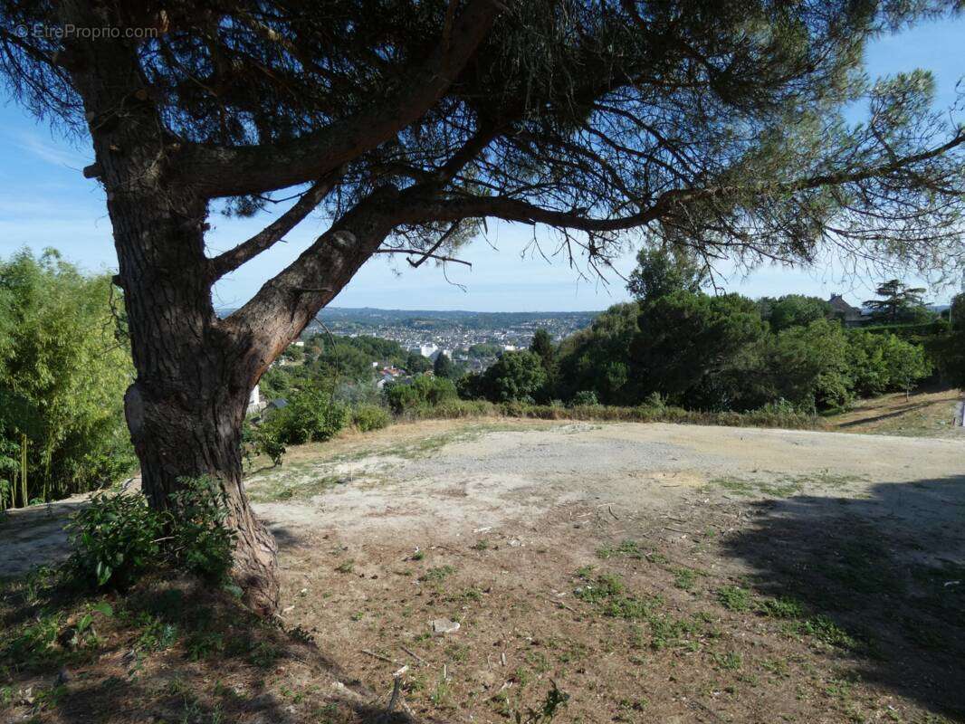 Terrain à BRIVE-LA-GAILLARDE