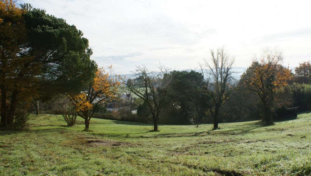 Terrain à BRIVE-LA-GAILLARDE