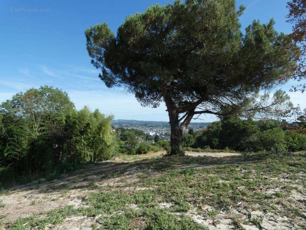 Terrain à BRIVE-LA-GAILLARDE