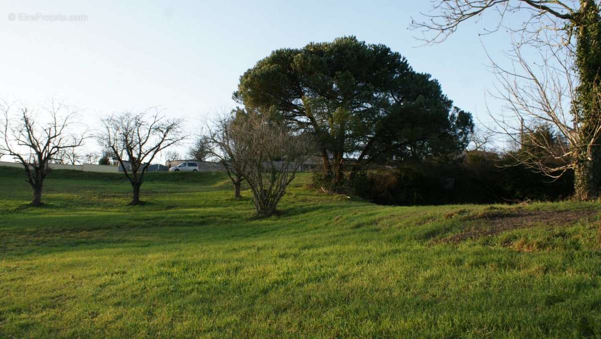 Terrain à BRIVE-LA-GAILLARDE