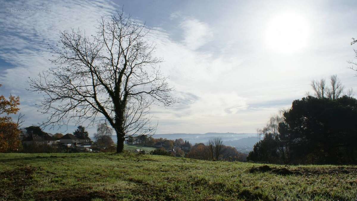 Terrain à BRIVE-LA-GAILLARDE