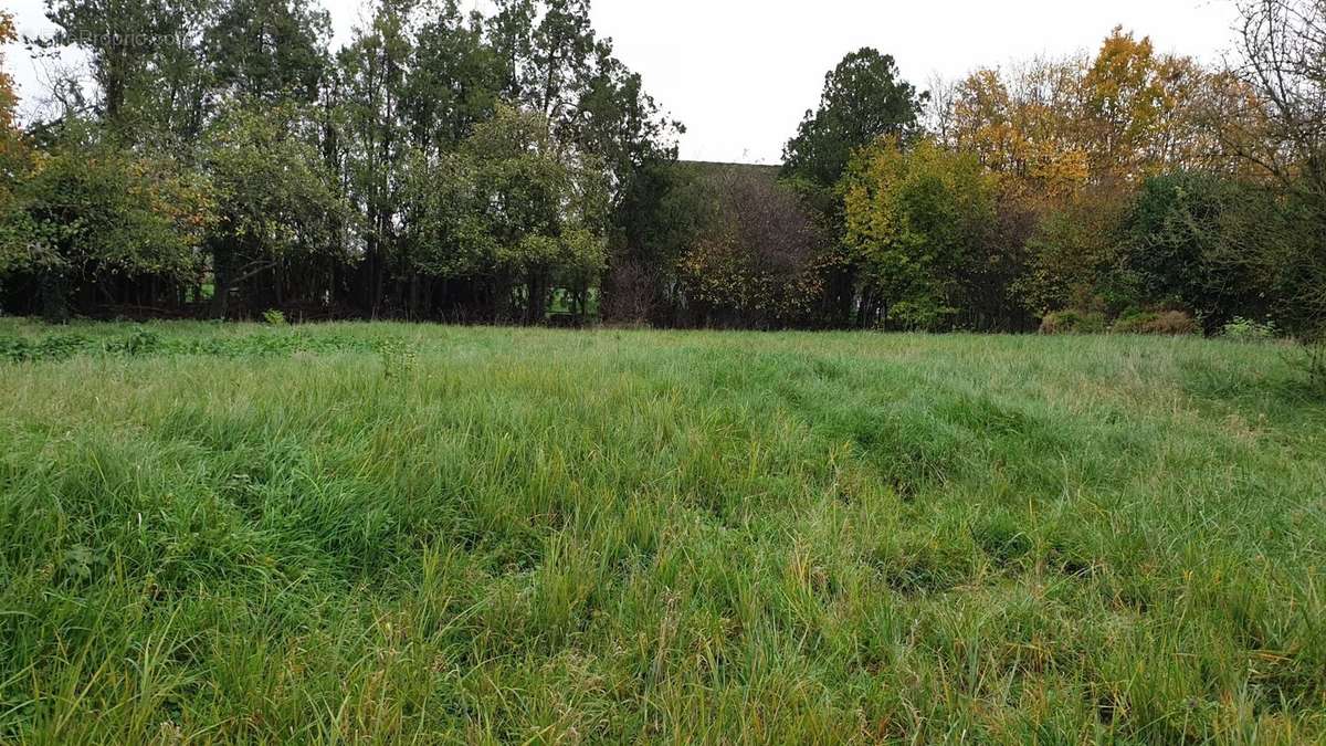 Terrain à AMAGNE