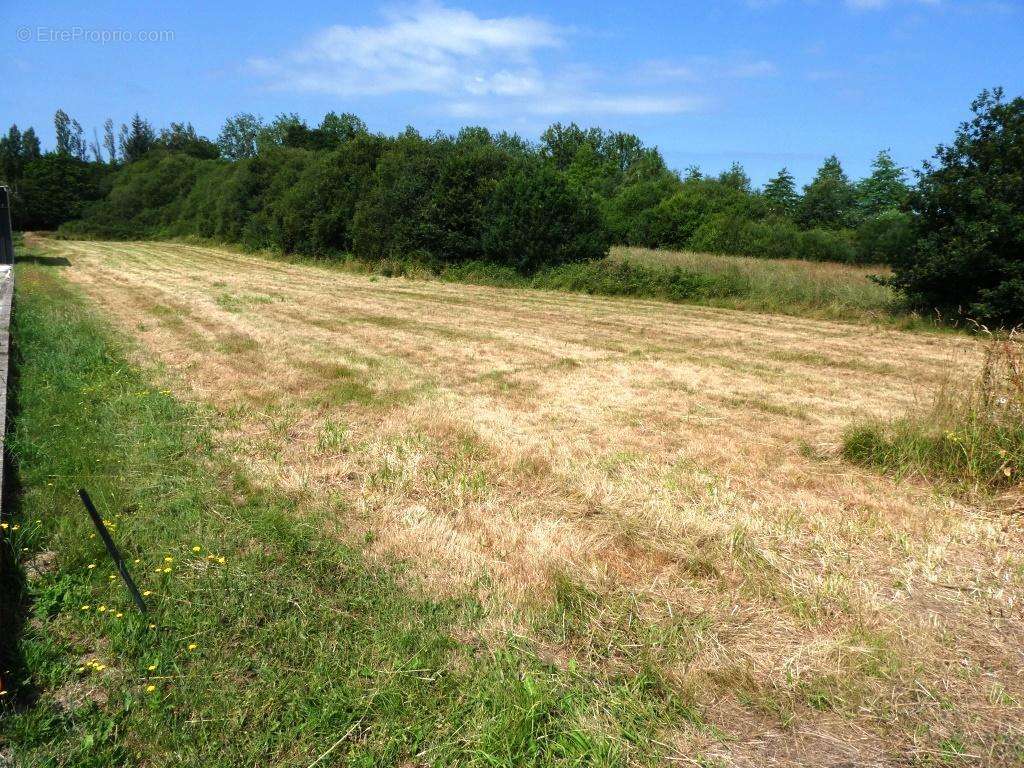 Terrain à GUEMENE-SUR-SCORFF