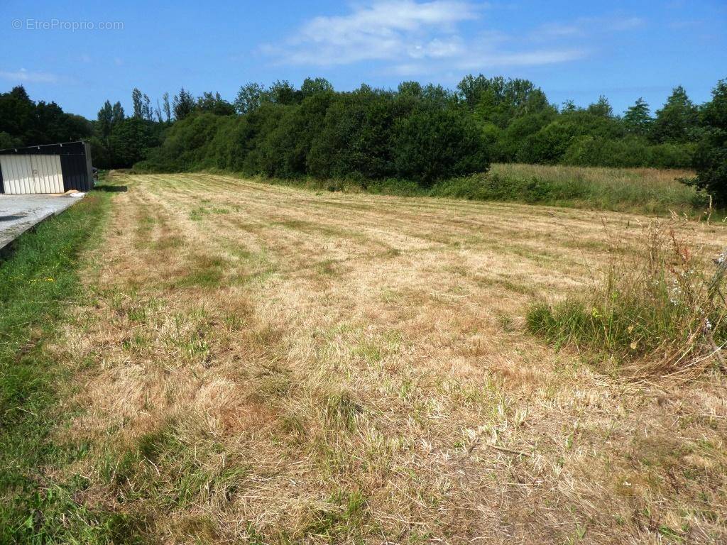 Terrain à GUEMENE-SUR-SCORFF