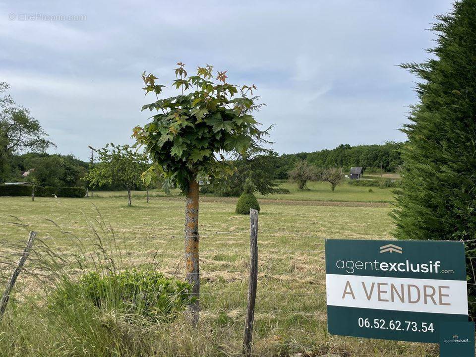 Terrain à LA DORNAC