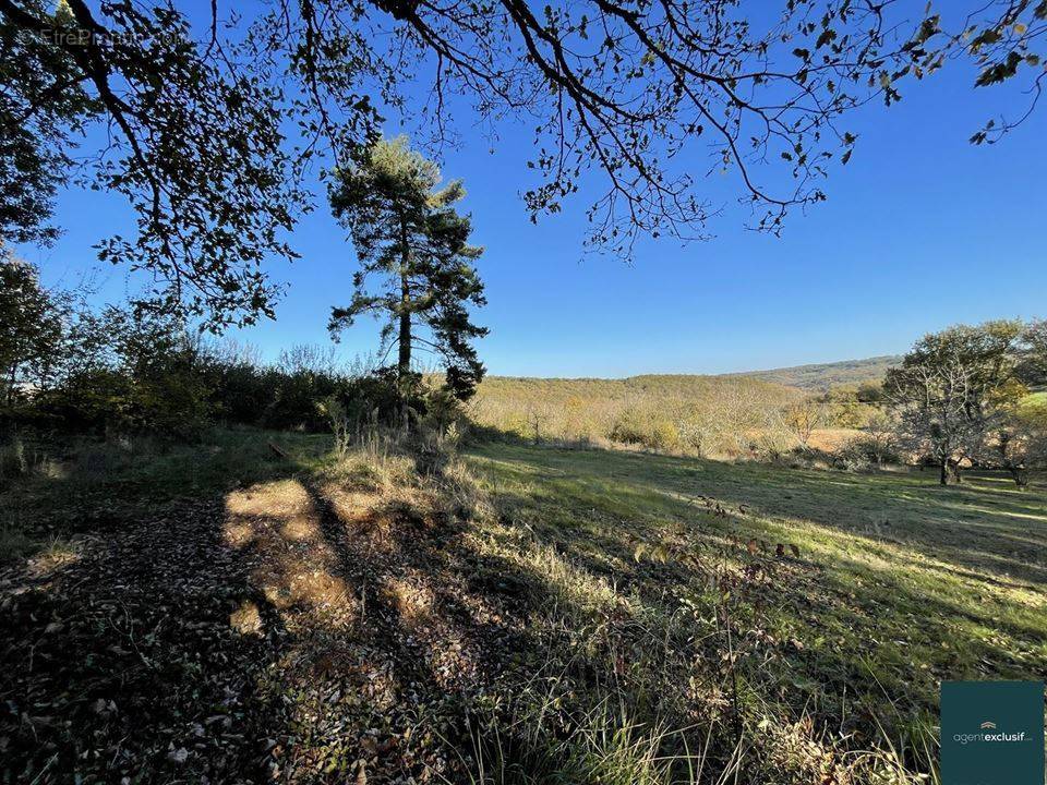 Terrain à LA DORNAC