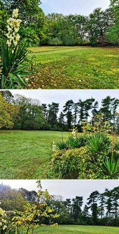 Terrain à MIGNALOUX-BEAUVOIR