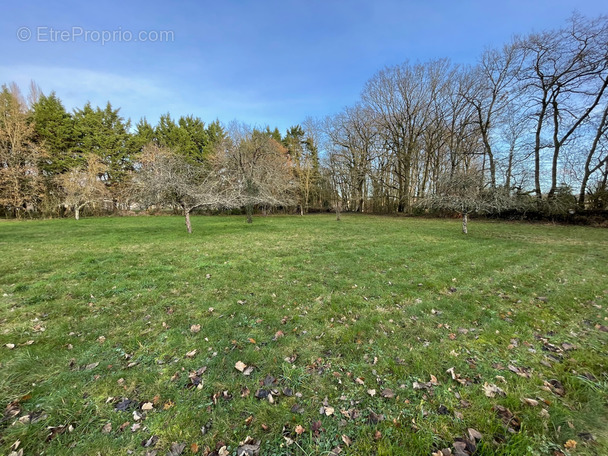 Terrain à MIGNALOUX-BEAUVOIR