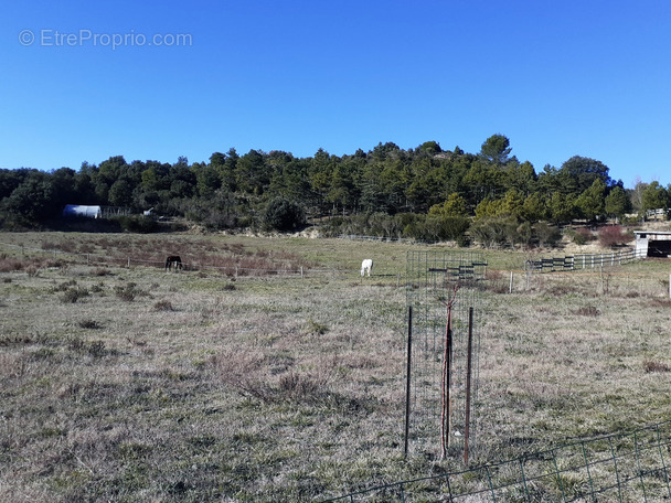 Terrain à LIMOUX