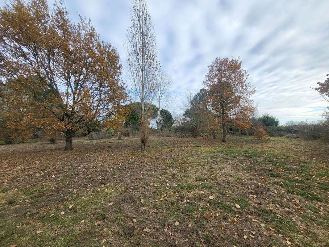 Terrain à BLAYE