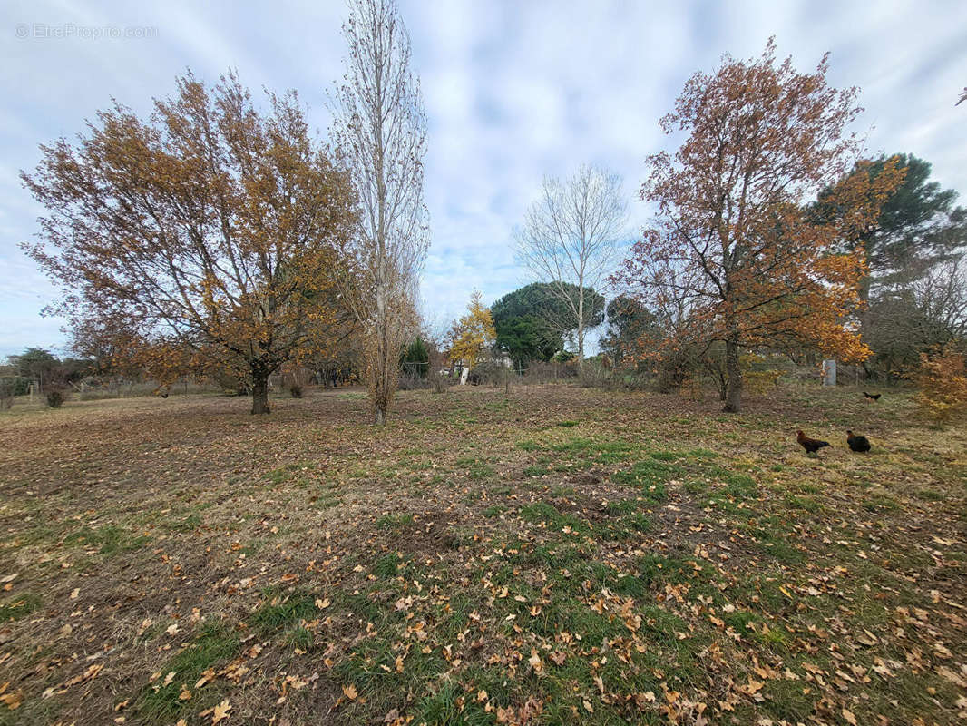 Terrain à BLAYE