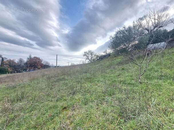 Terrain à MOISSAC