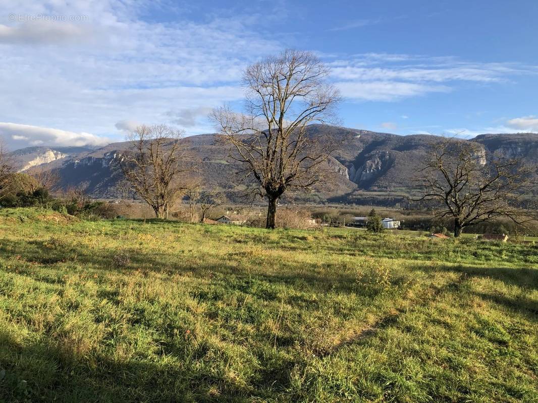 Terrain à SAINT-SAUVEUR