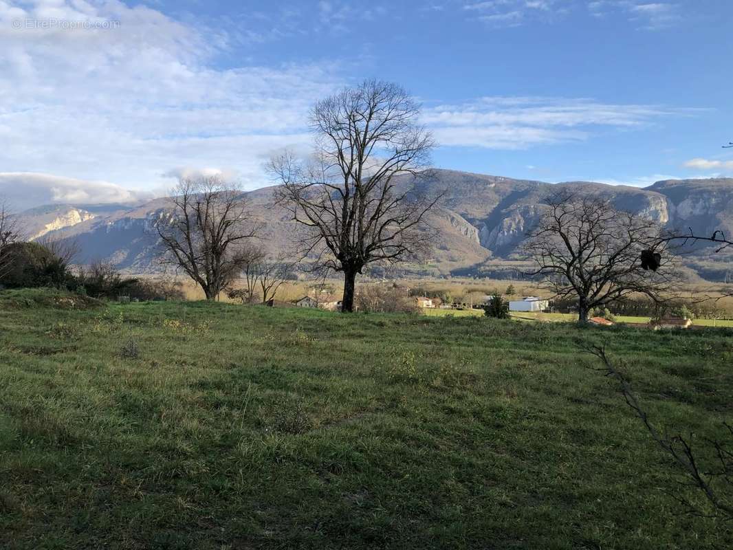 Terrain à SAINT-SAUVEUR