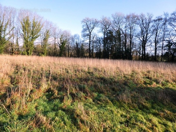 Terrain à LOCMALO