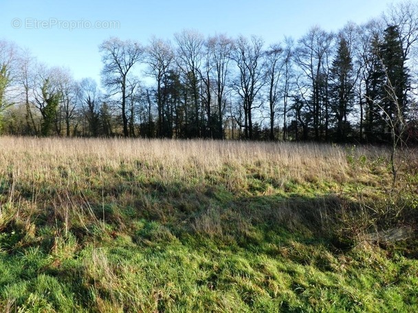 Terrain à LOCMALO